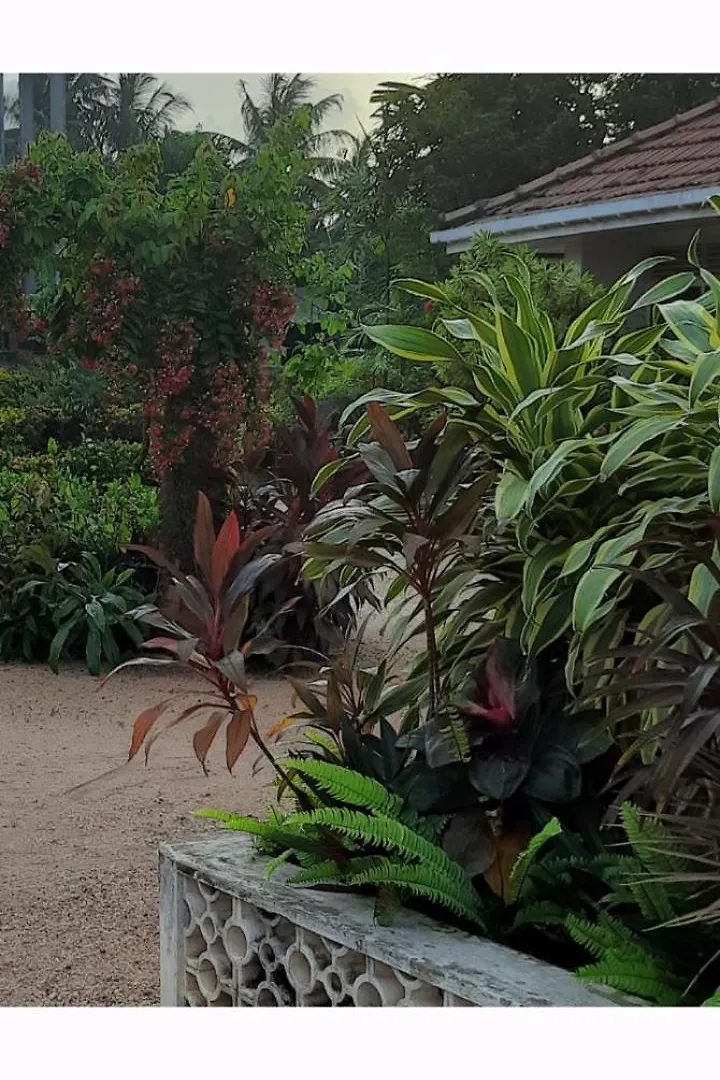Homestay szállás Srilal'S Guest House Negombo